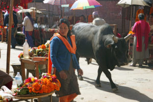 Bazarstraßen in Kathmandu