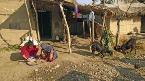 Frauen in Chitwan beim Aussortieren der Reiskörner