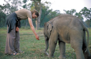 Mit Elefanten auf Tuchfühlung im Chitwan-Nationalpark