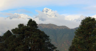 Blick vom Deurali-Pass auf das Annapurna-Massiv