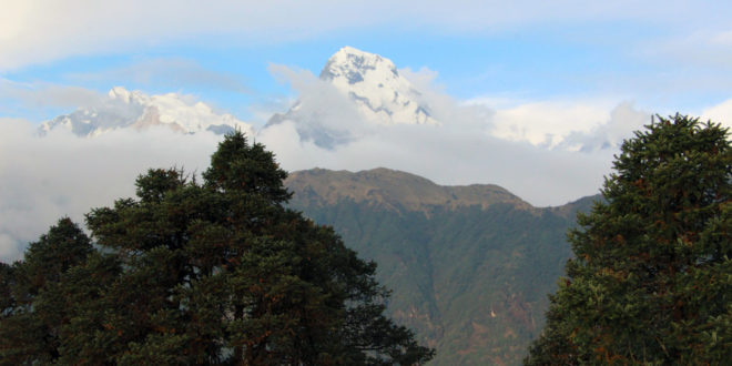 Blick vom Deurali-Pass auf das Annapurna-Massiv